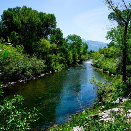 A spacious, pet-friendly dog park where guests can let their furry friends play and exercise at Riverside RV Luxury Resort in South Weber, Utah.