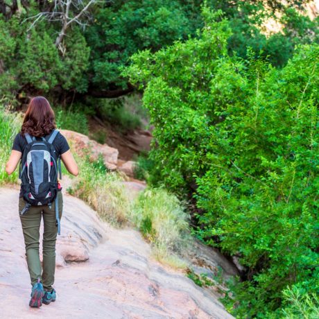 Utah hikers