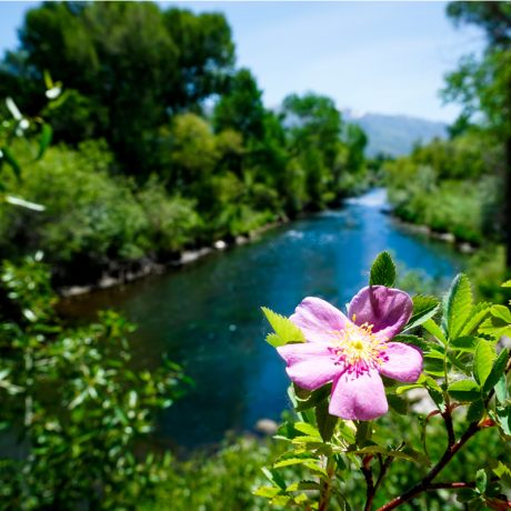 Breathtaking panoramic views of the surrounding mountains, showcasing the natural beauty of Riverside RV Luxury Resort in South Weber, Utah.